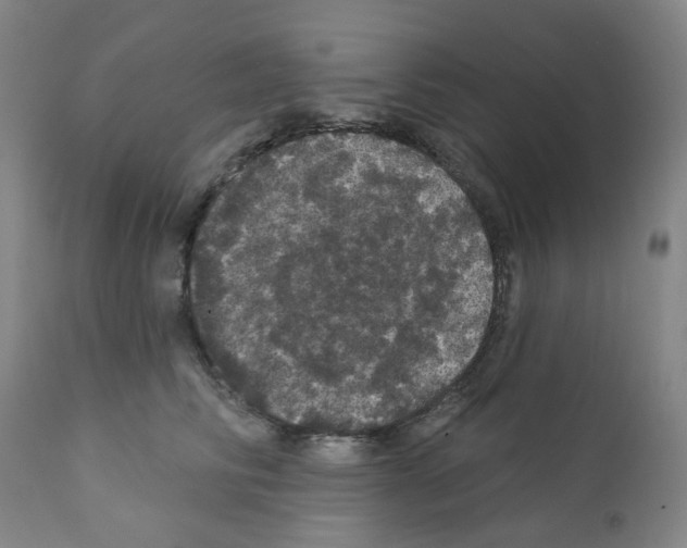 X0000112160710200909181448