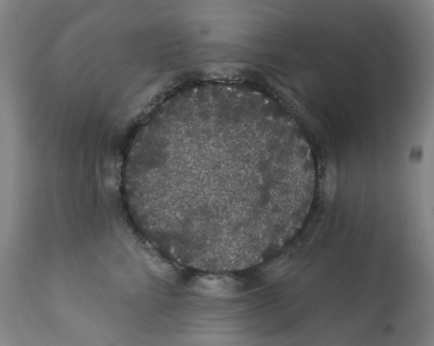 X0000112160712200909181448