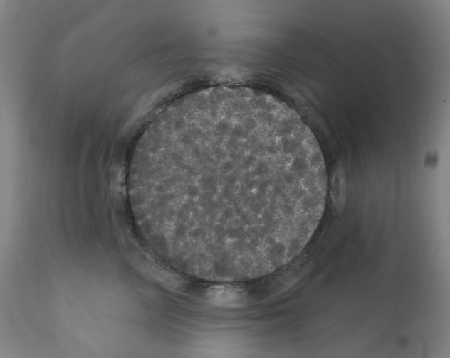 X0000112160714200909181448