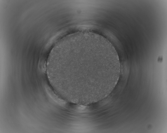 X0000112160718200909181448