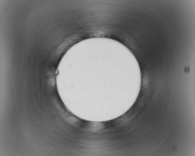 X0000112160719200909181448
