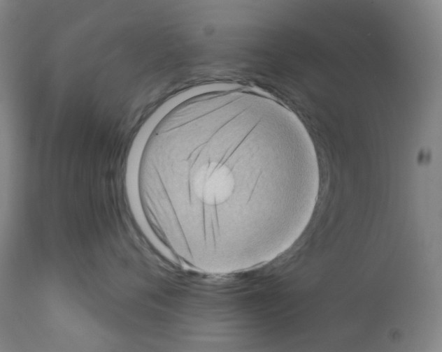 X0000112160720200909181447