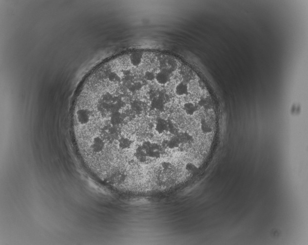 X0000112160721200909181447