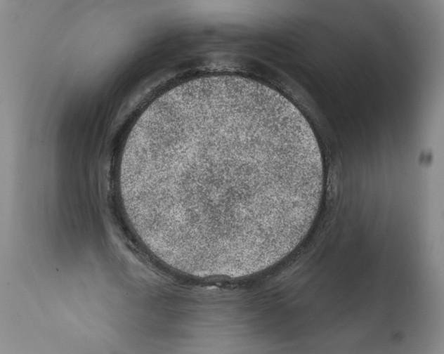 X0000112160722200909181447