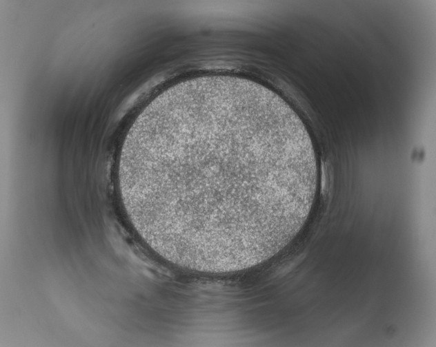 X0000112160723200909181447