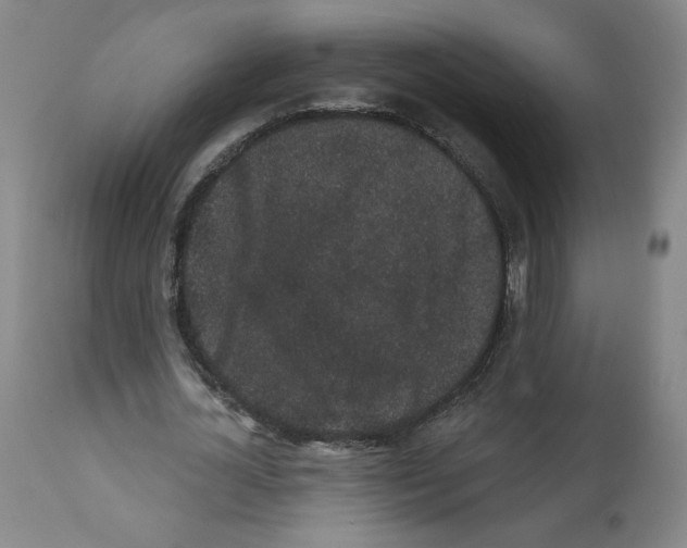 X0000112160724200909181447