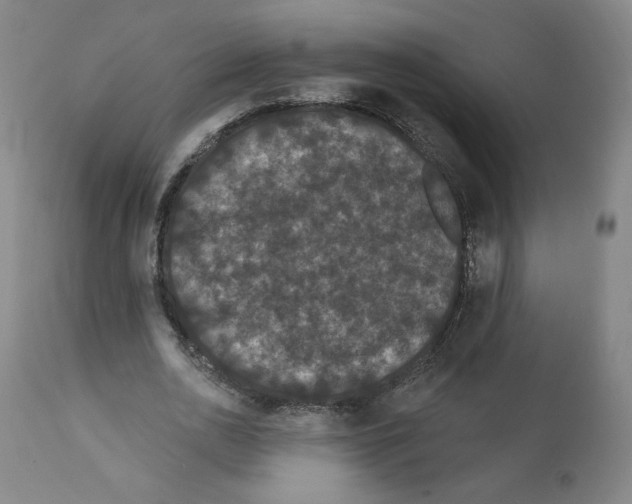 X0000112160726200909181447
