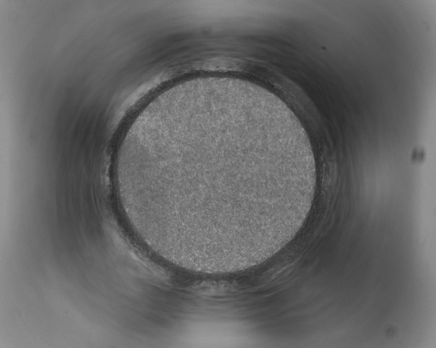 X0000112160727200909181447