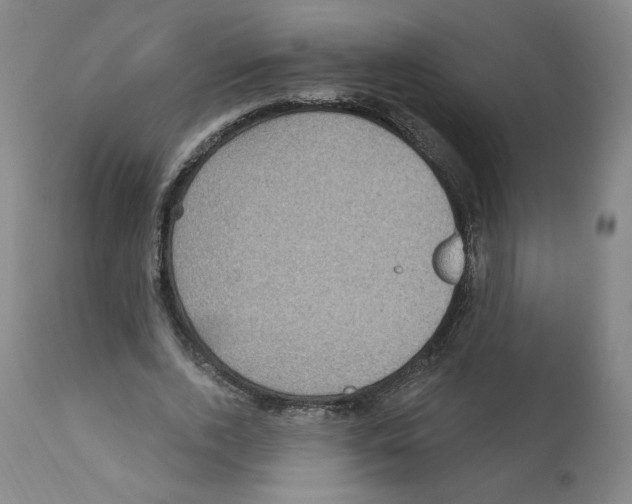 X0000112160728200909181447