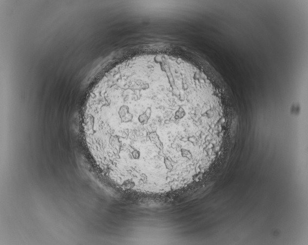 X0000112160729200909181447