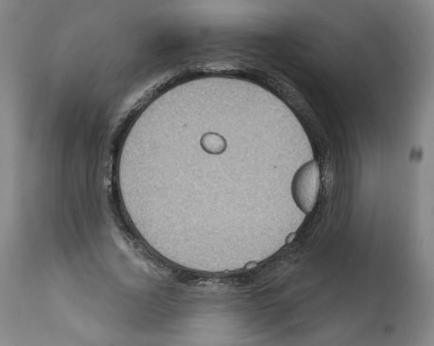 X0000112160732200909181447