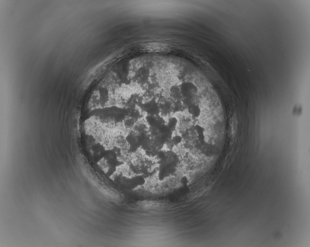 X0000112160733200909181447