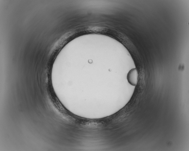 X0000112160734200909181447