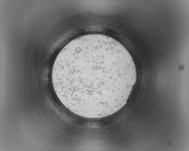 X0000112160735200909181447