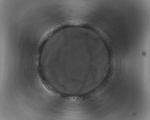 X0000112160736200909181447