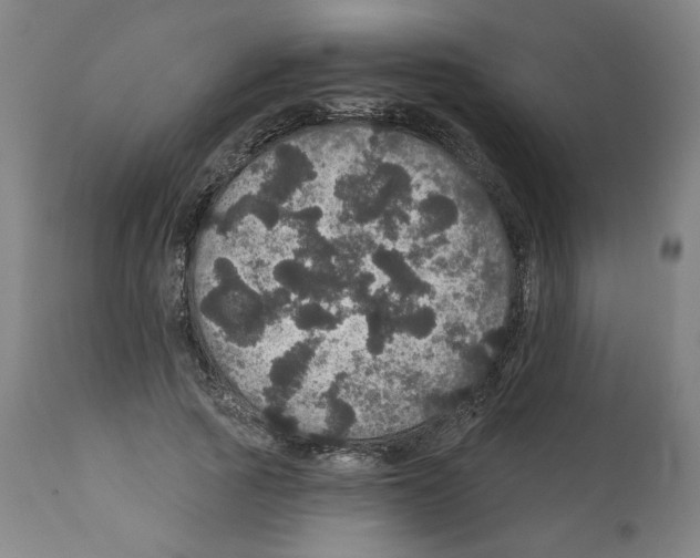 X0000112160737200909181447