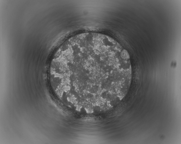 X0000112160738200909181447