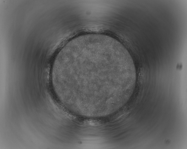X0000112160739200909181447