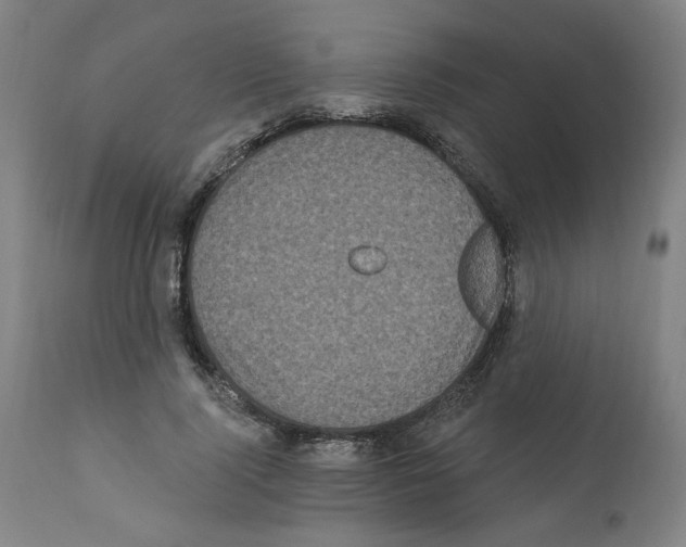 X0000112160740200909181447