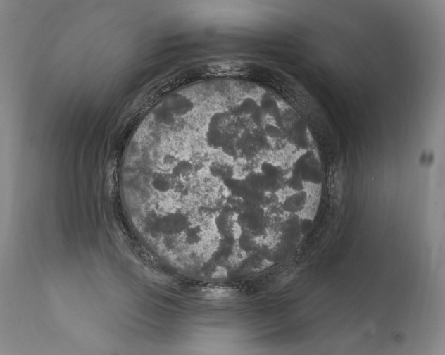X0000112160741200909181447