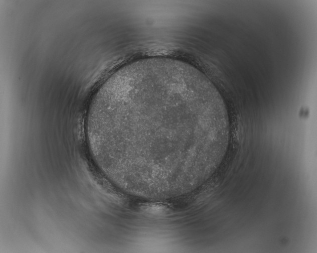 X0000112160743200909181447