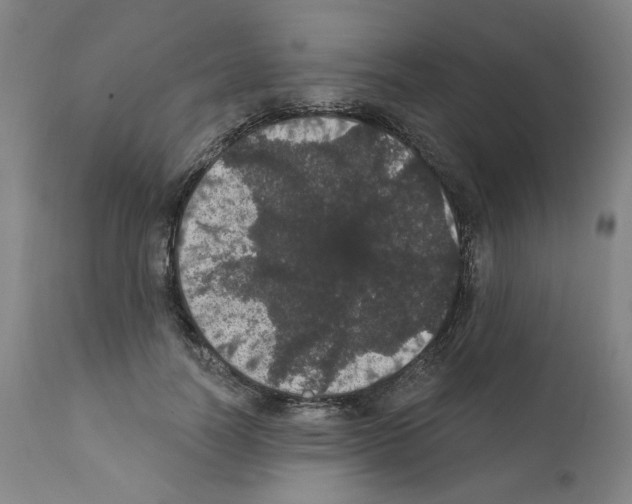 X0000112160746200909181447