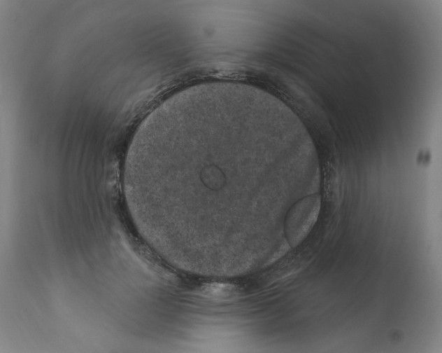 X0000112160748200909181447
