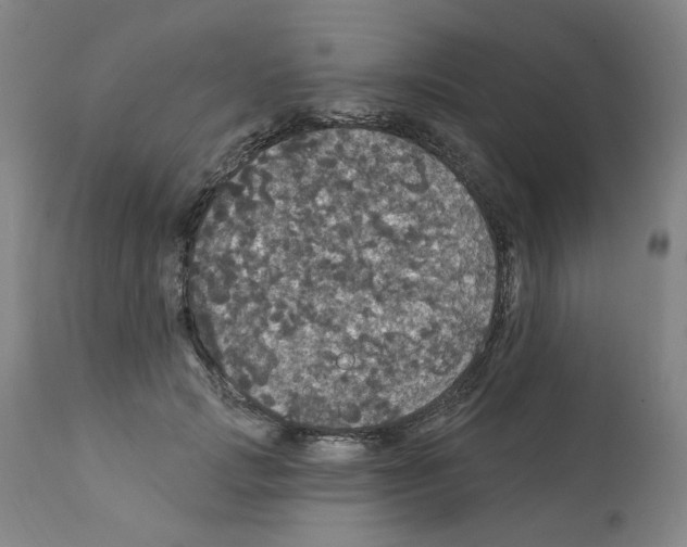 X0000112160749200909181447