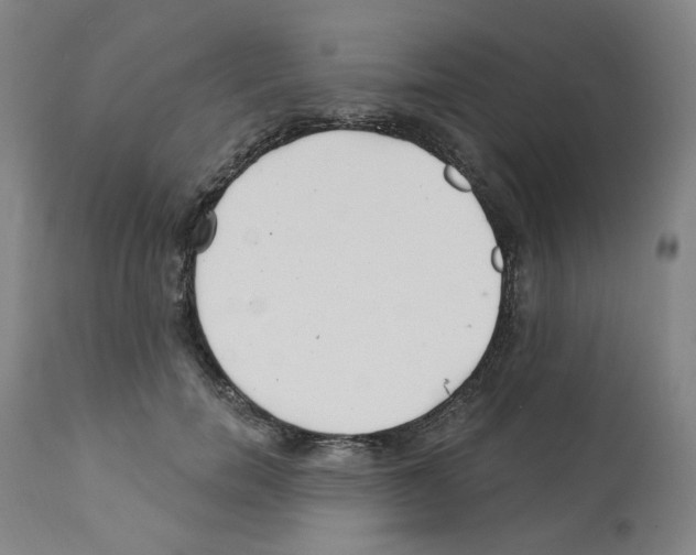 X0000112160750200909181447