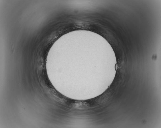 X0000112160752200909181447