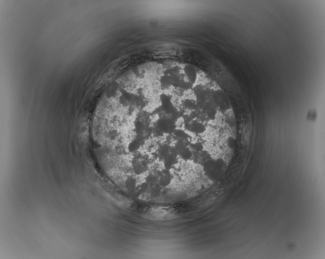 X0000112160753200909181447