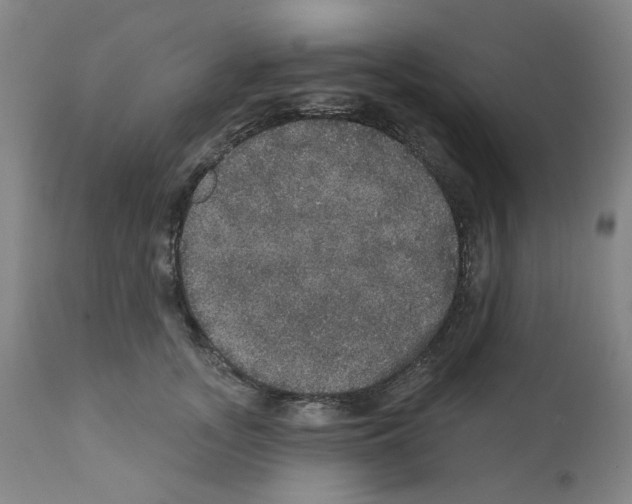 X0000112160755200909181447
