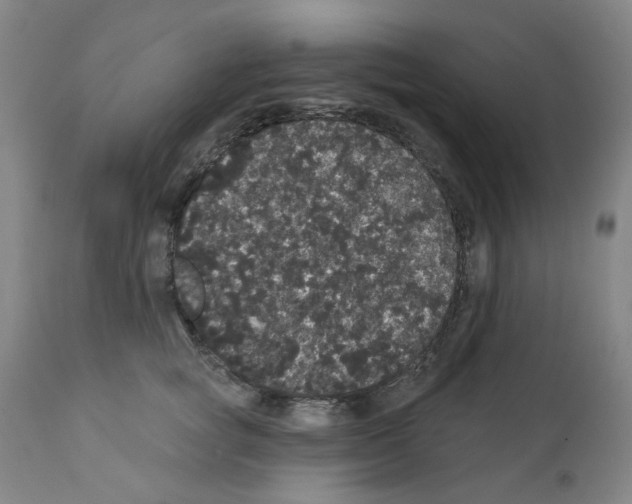 X0000112160757200909181447
