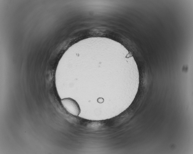 X0000112160759200909181447