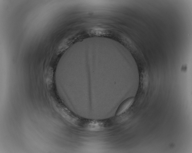 X0000112160760200909181447