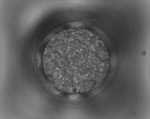 X0000112160761200909181447
