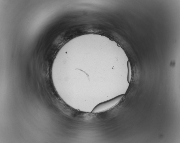 X0000112160762200909181447