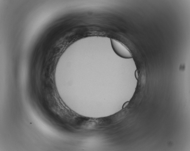 X0000112160764200909181447