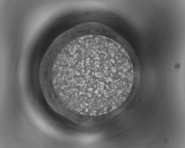 X0000112160765200909181447