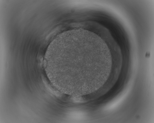 X0000112160767200909181447