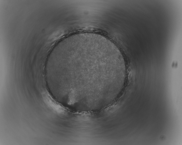 X0000112160769200909181447