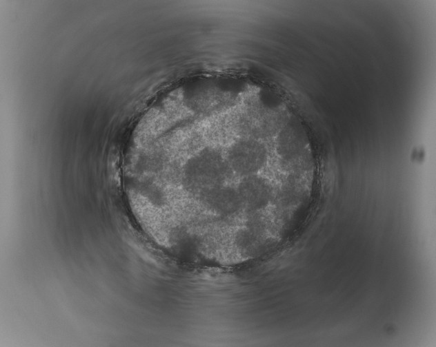 X0000112160770200909181447