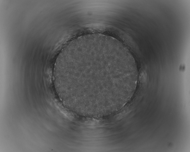 X0000112160772200909181447