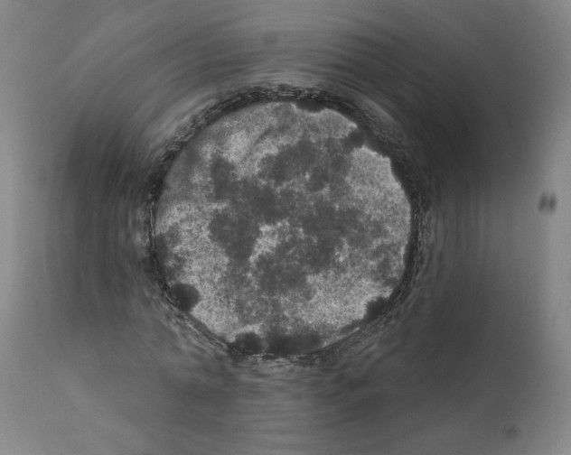 X0000112160774200909181447