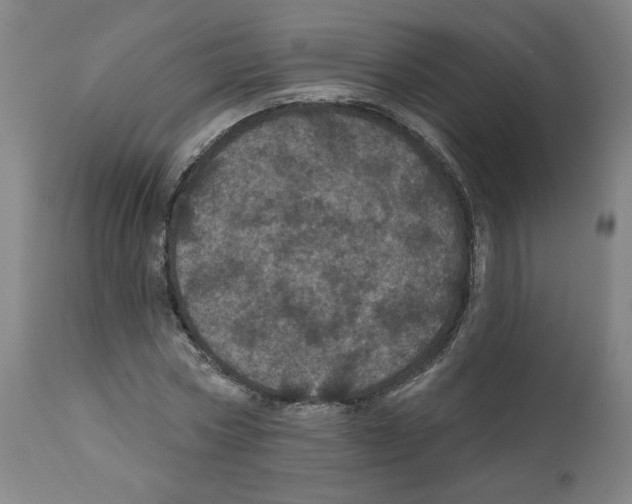 X0000112160778200909181447