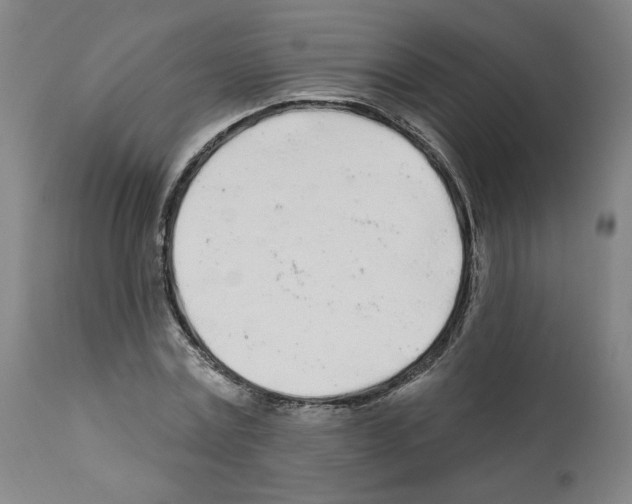 X0000112160779200909181447