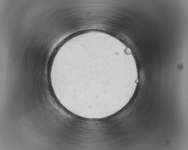 X0000112160780200909181446