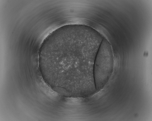 X0000112160781200909181446