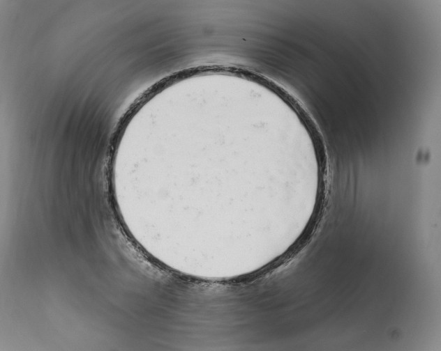 X0000112160783200909181446