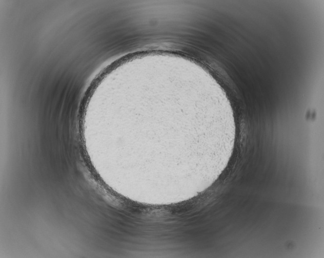 X0000112160784200909181446